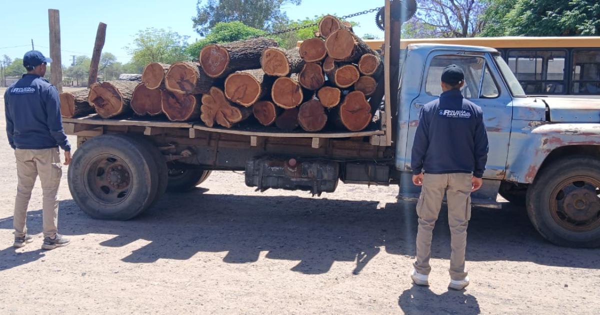 Golpe al robo de madera- cayeron dos hombres con vigas de algarrobo valuadas en maacutes de 25 millones