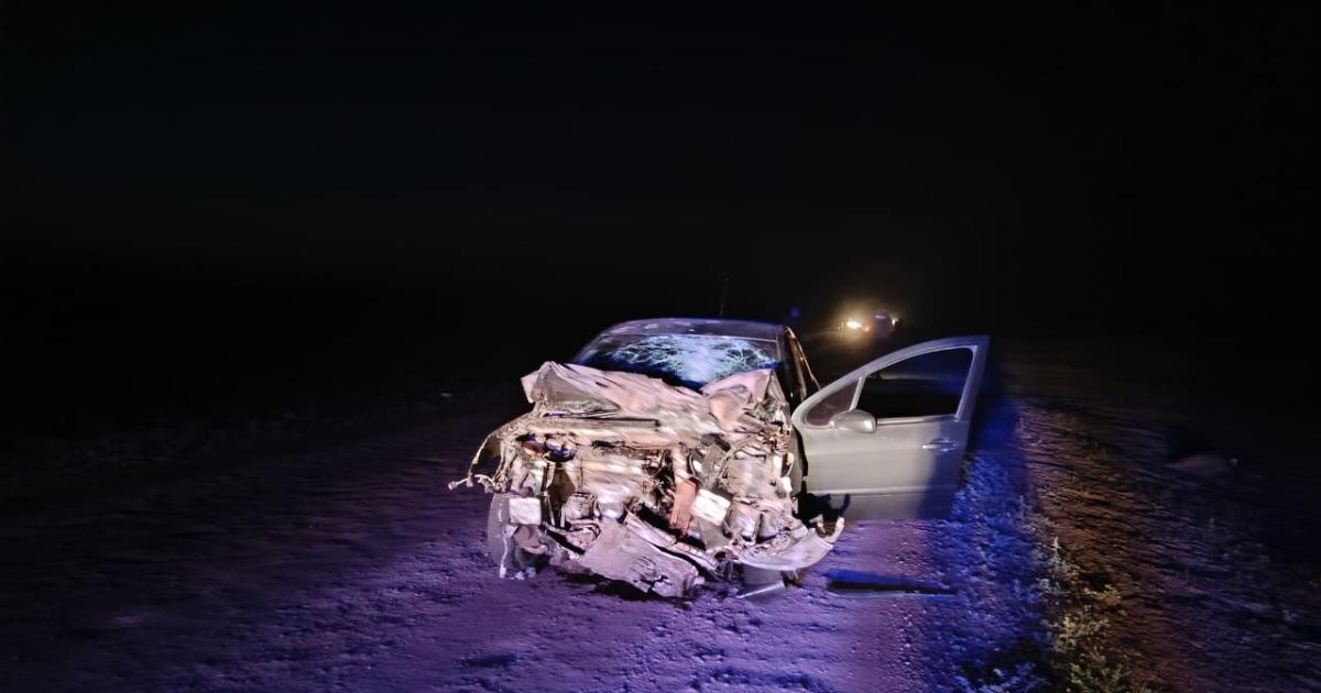 AUTO Salto regresaba de unas carreras hípicas También tenia alcohol elevado en la sangre