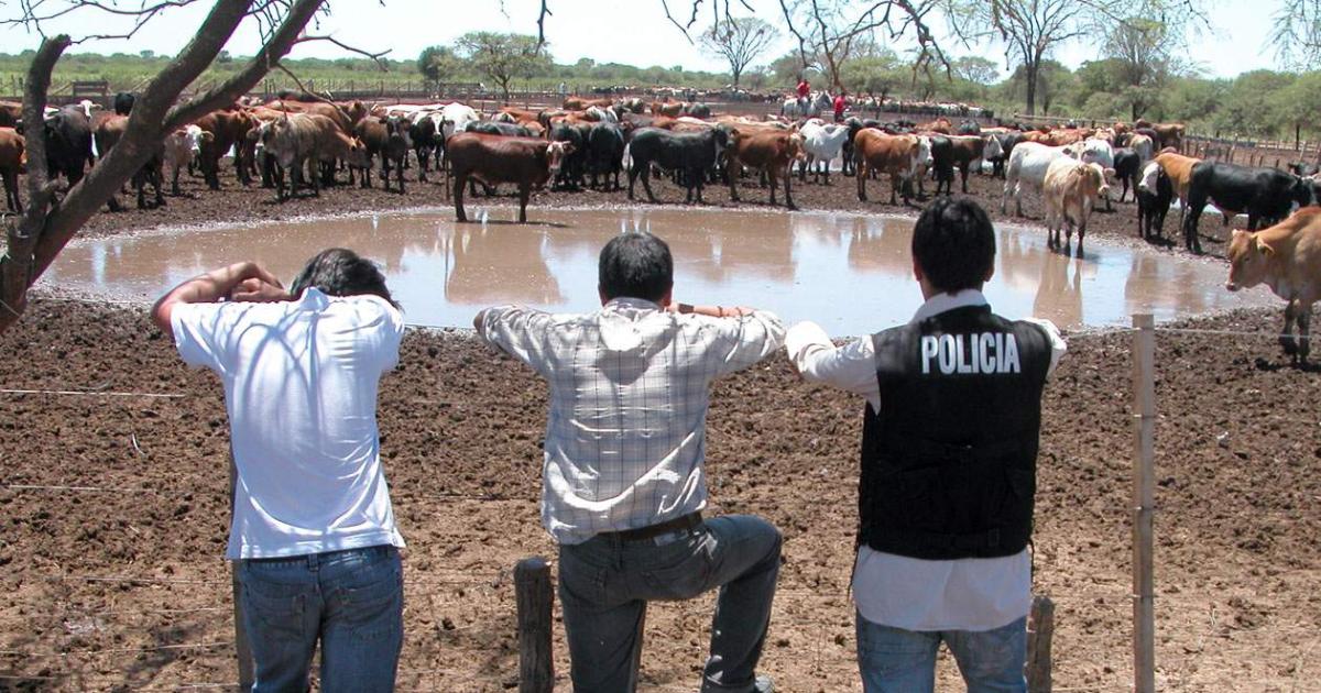 Golpe al abigeato- arrestan a un hombre por faena y venta de animales robados