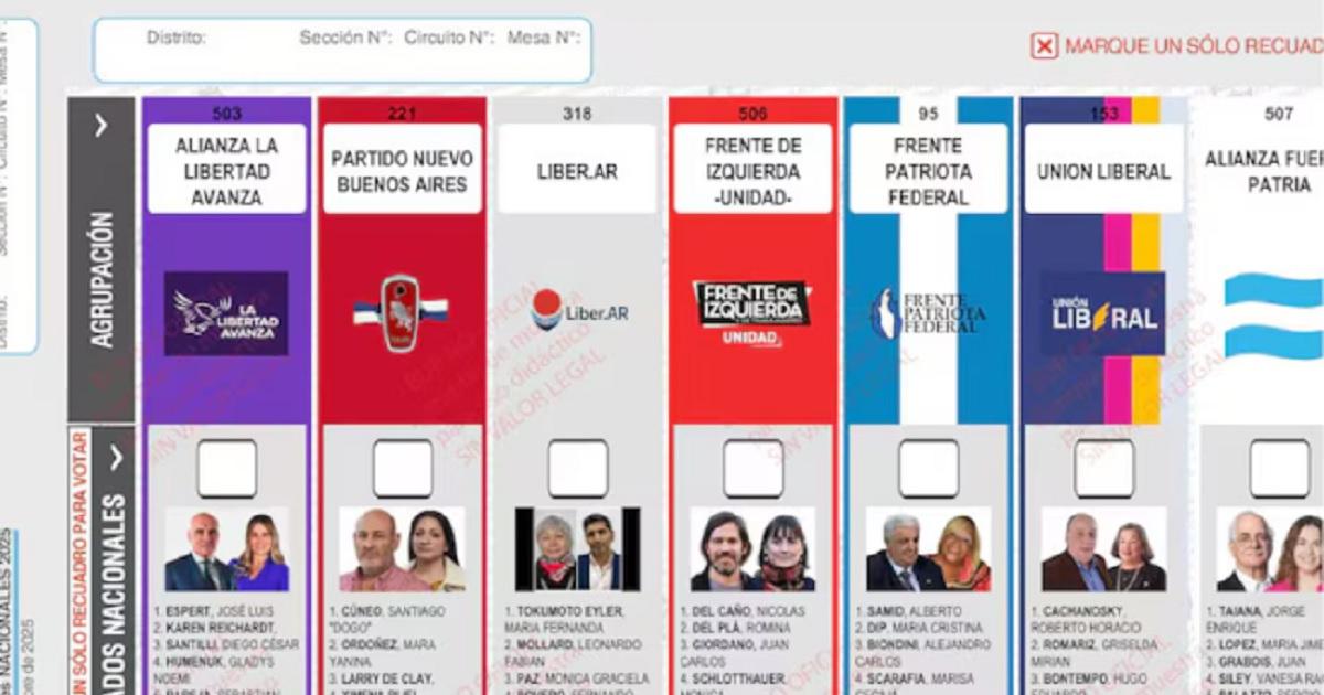 El fiscal rechazoacute reimprimir las boletas en Buenos Aires- la decisioacuten queda en manos de la Caacutemara Nacional Electoral 