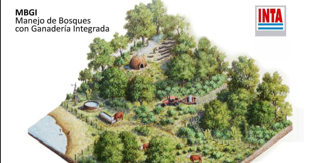 El INTA Santiago asistiraacute teacutecnicamente a 4 sitios piloto de MBGI