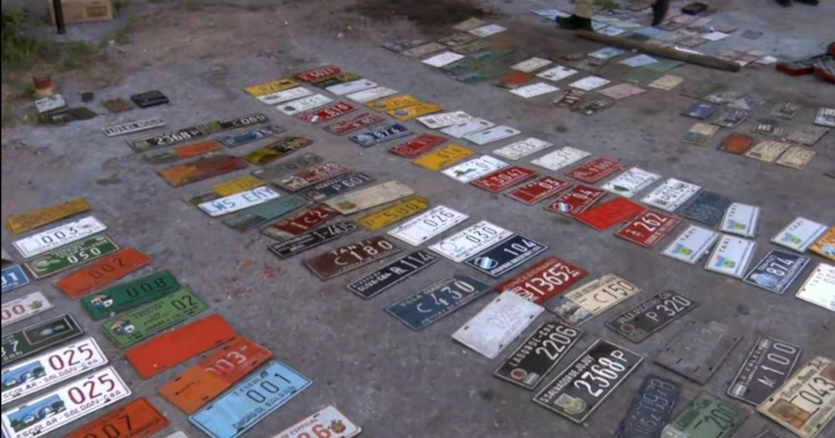 Desmantelaron una faacutebrica de patentes truchas- las vendiacutean por internet a todo el paiacutes