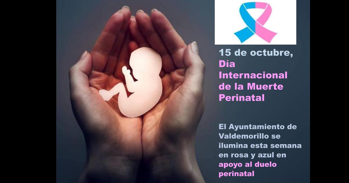Organizan una jornada para abordar el Duelo Perinatal y Gestacional