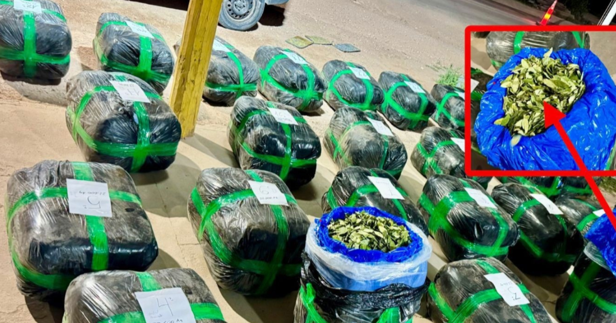 Nuevo golpe al narcotraacutefico en Campo Gallo- la Policiacutea secuestroacute maacutes de 530kg de hojas de coca