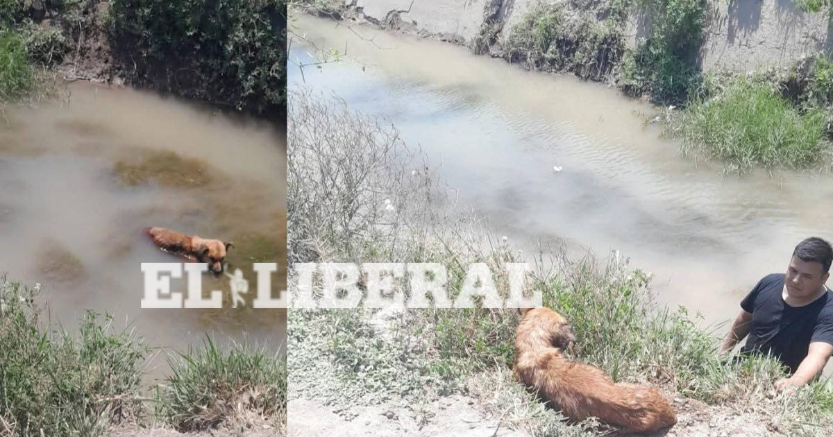 Añatuya - Un grupo de efectivos de la División Prevención de la Departamental 13