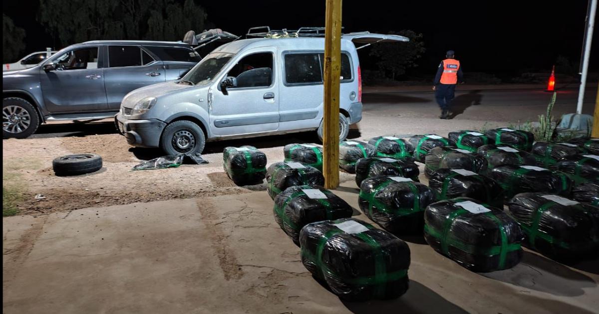 Trabajador de fronteras huyoacute de controles porque trasladaba 530 kilos de hojas de coca