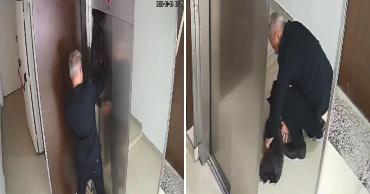 VIDEO Dramaacutetico- un perrito quedoacute colgado de un ascensor y un hombre lo salvoacute hacieacutendole RCP