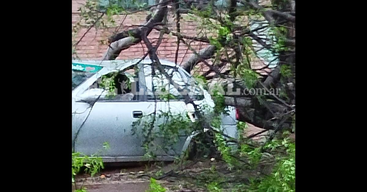 Bomberos rescataron a una familia atrapada en su auto tras la caiacuteda de un aacuterbol durante la tormenta en Friacuteas