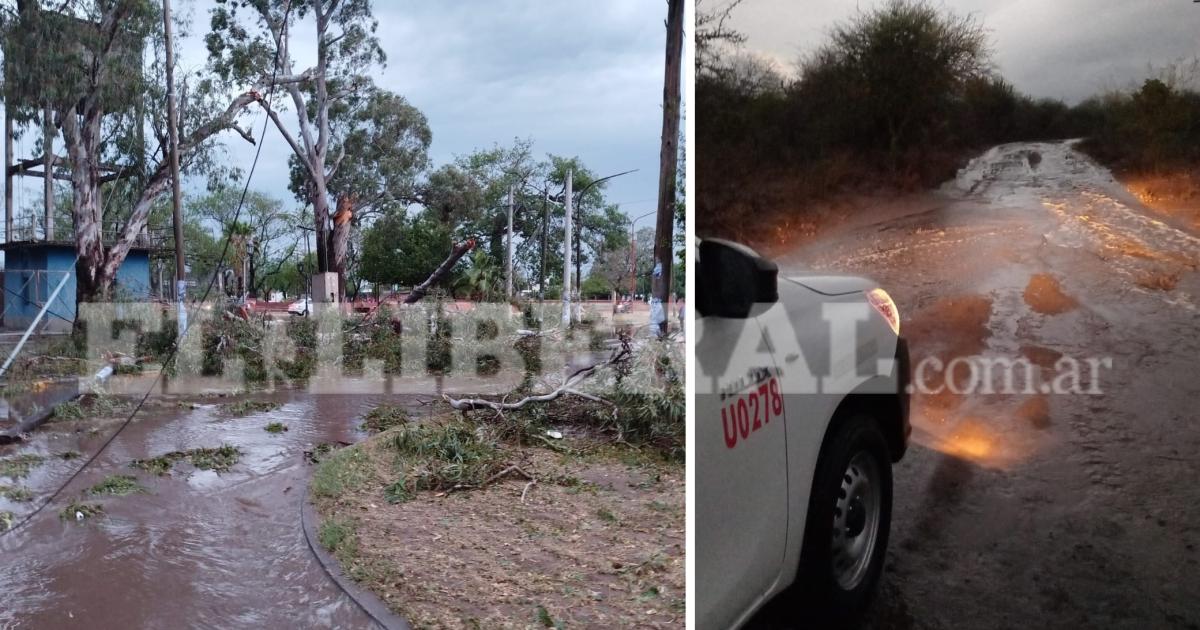 Ha sido muy fuerte el viento han volado techos ramas y han caído rboles relató una fuente confiable a EL LIBERAL