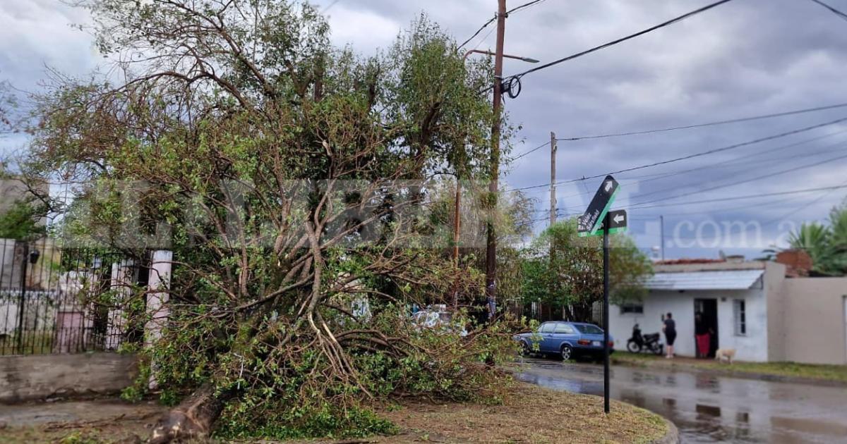 VIDEO  Violento temporal azotoacute Friacuteas- granizo dantildeos materiales y calles intransitables