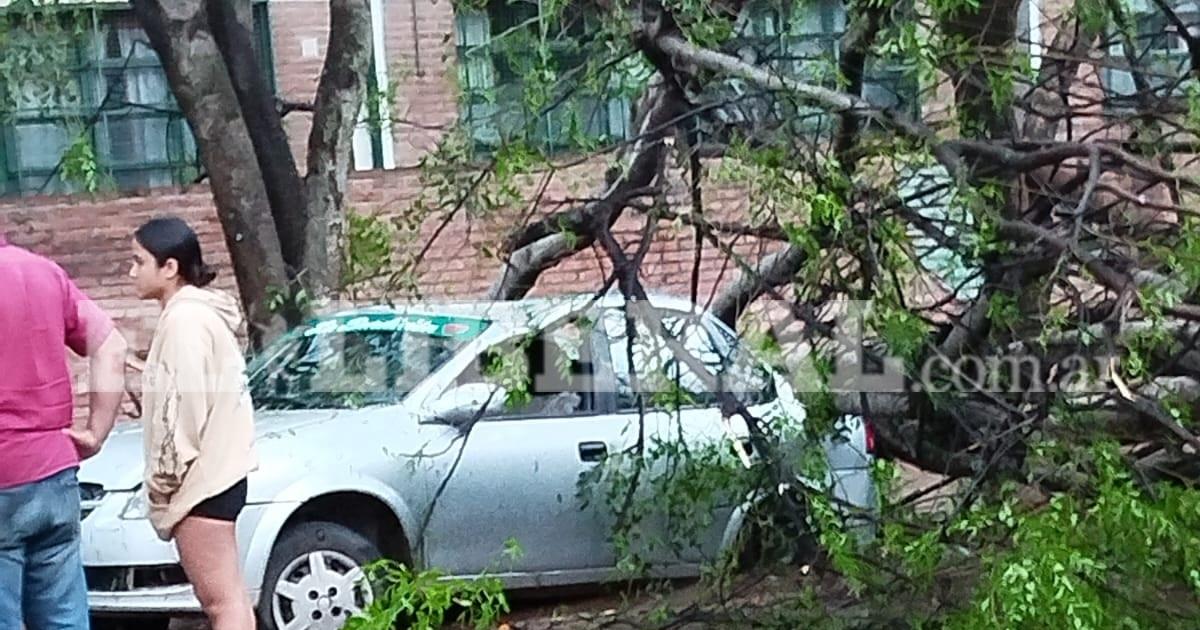 Bomberos rescataron a una familia atrapada en su auto tras la caiacuteda de un aacuterbol durante la tormenta en Friacuteas