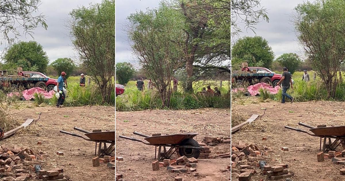 VIDEO  Supuestos okupas resisten a operativo policial con un pitbull en el interior provincial