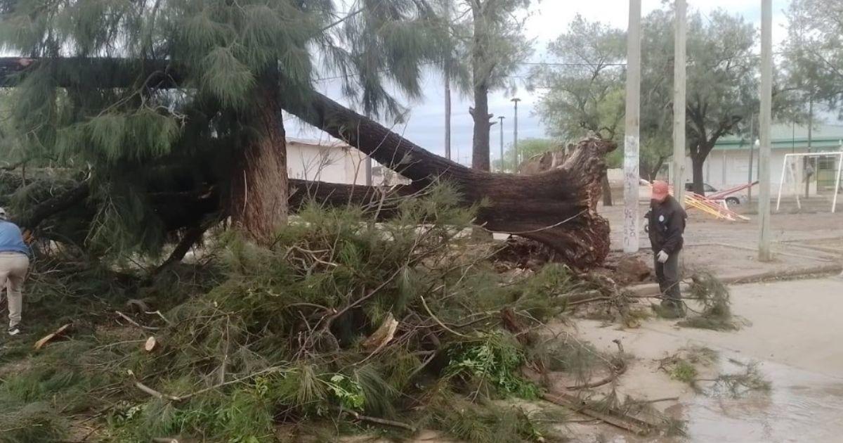 Defensa Civil de la Provincia se sumoacute al equipo local- Friacuteas en Estado de Emergencia por Desastre Climaacutetico