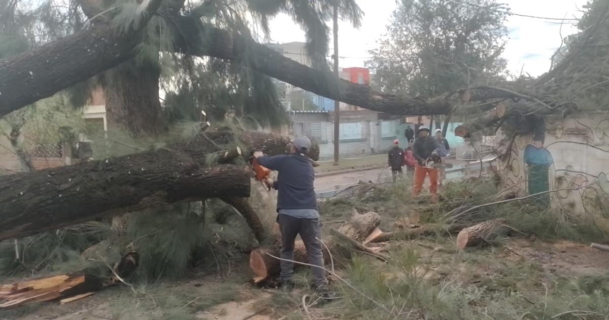 La ciudad de Friacuteas en estado de emergencia por desastre climaacutetico