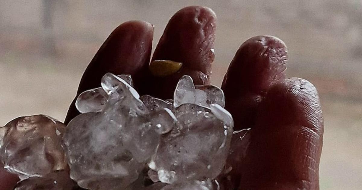 Feroz temporal derriboacute aacuterboles y postes de la red eleacutectrica en Friacuteas