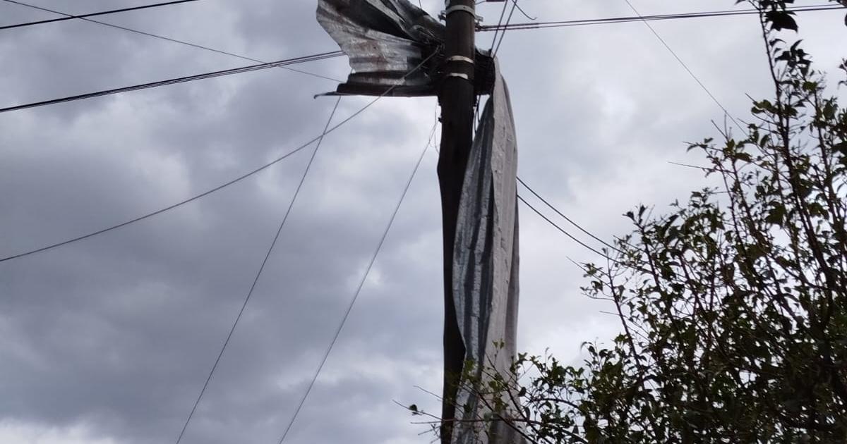 Feroz temporal derriboacute aacuterboles y postes de la red eleacutectrica en Friacuteas