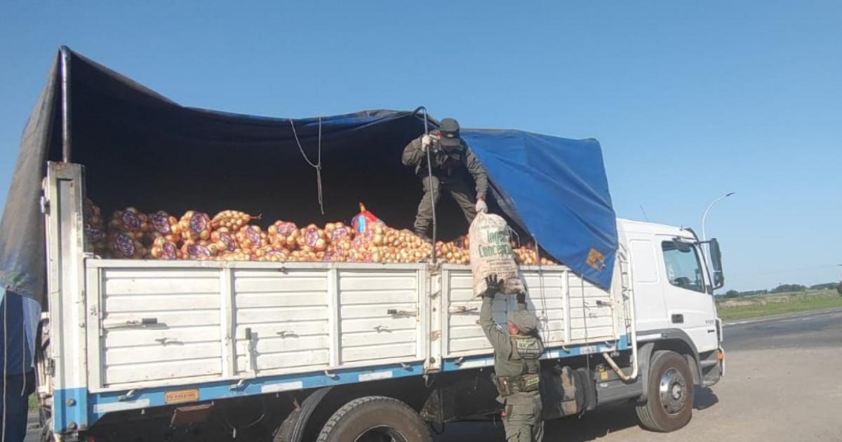 Santiaguentildeo detenido por traficar tortugas en un camioacuten con cebolla