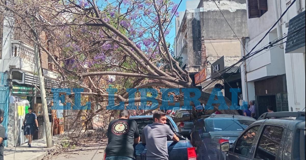 Foto- Daniel Pérez  EL Liberal