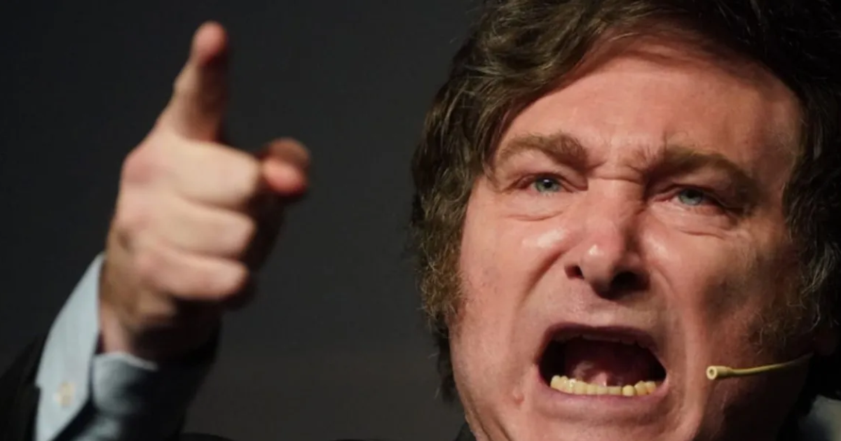 Crueldad institucional- la oposicioacuten apuntoacute contra Milei por suspender leyes del Garrahan y las universidades