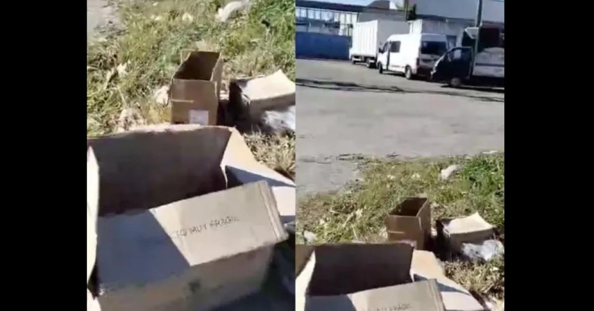 Macabro hallazgo- encuentran varias cabezas de animales en cajas frente a un depoacutesito