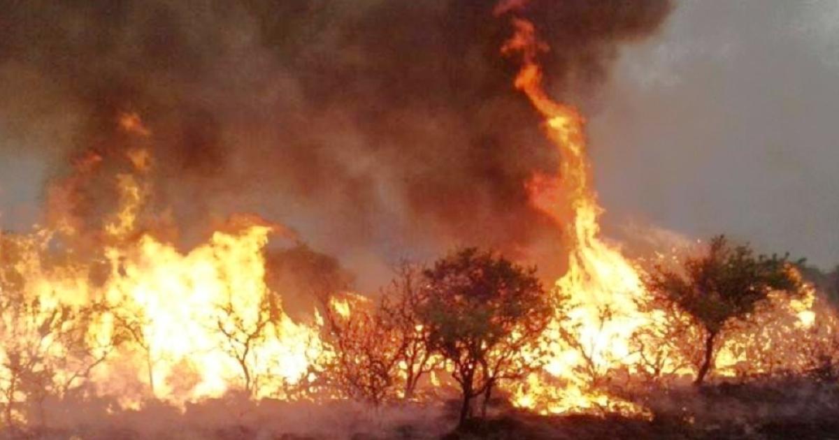 Imprudencia sin fin- quema de pastizales afecta red eleacutectrica en zonas de Loreto