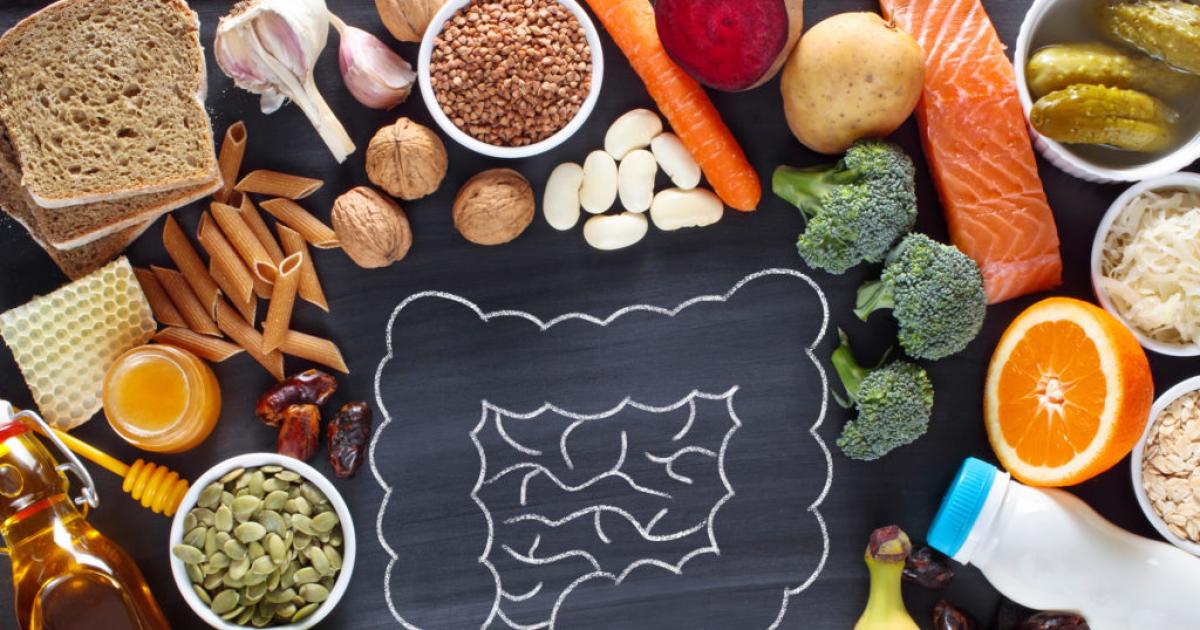 El intestino y la microbiota- la clave silenciosa para ganarle  a la longevidad y la diabesidad