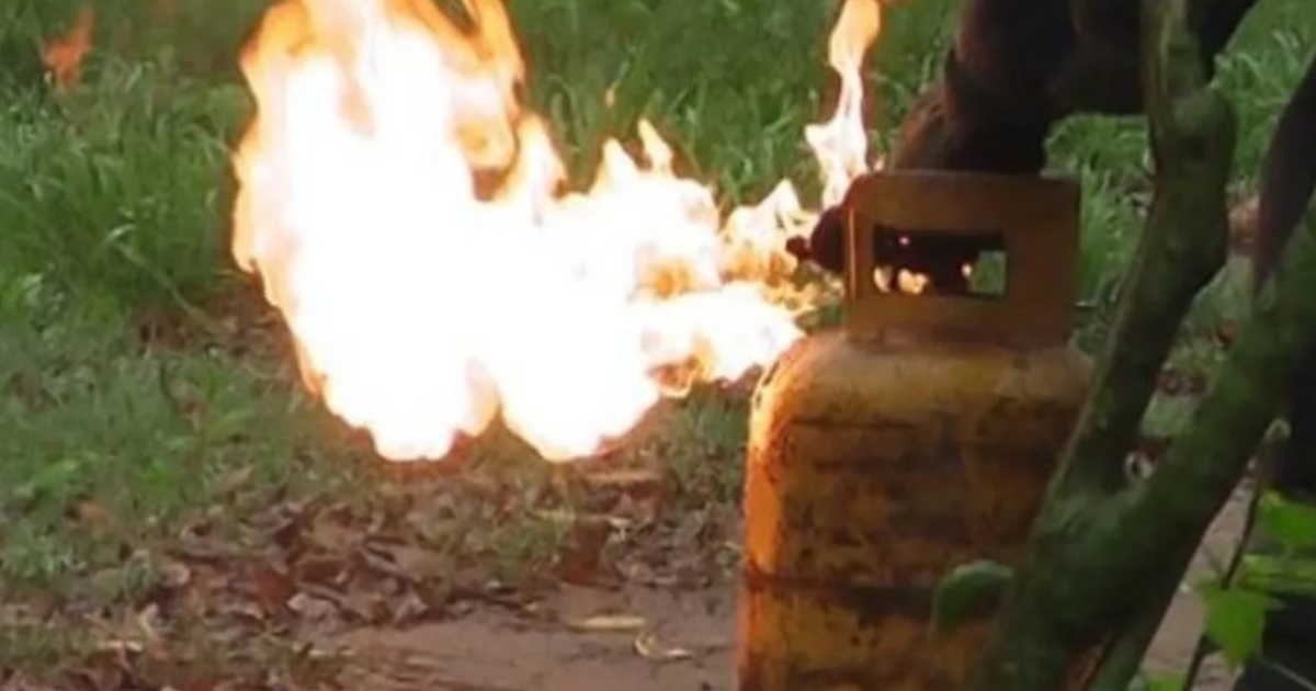 El joven fue derivado a un centro de salud y posteriormente quedó aprehendido acusado del delito de violencia de género (Foto- imagen ilustrativa)