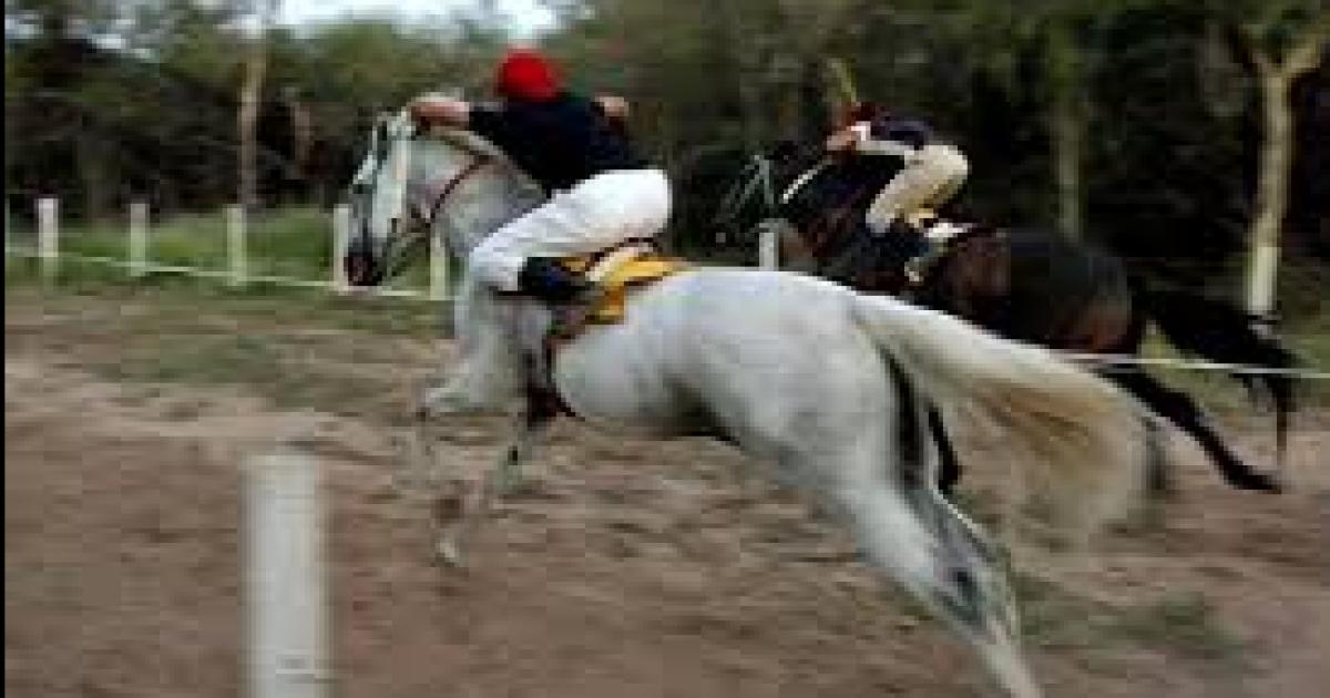 PREMIO IMPAGO- Los testigos señalaron que por 27 M no abonados a los de Ceres santiagueños y santafecinos se trenzaron a sillazos cuchilladas y trompadas