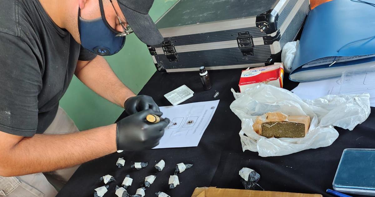 Antildeatuya- Desarticulan un punto de venta de drogas y secuestran maacutes de 2 kilos de marihuana