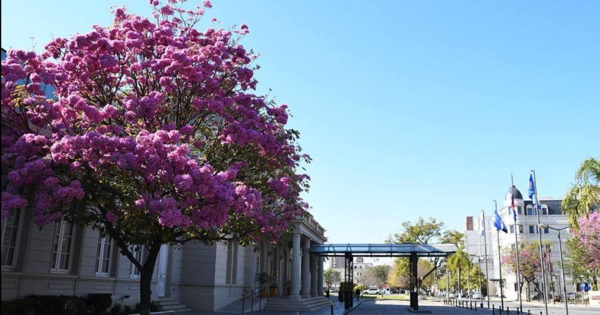 El sol ser el protagonista del día (Foto- Archivo  El Liberal)