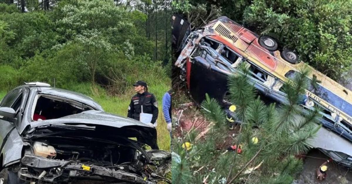 Una pericia confirmó que estaba alcoholizado el conductor que chocó con el micro en Misiones (Foto- gentileza Misiones Online)