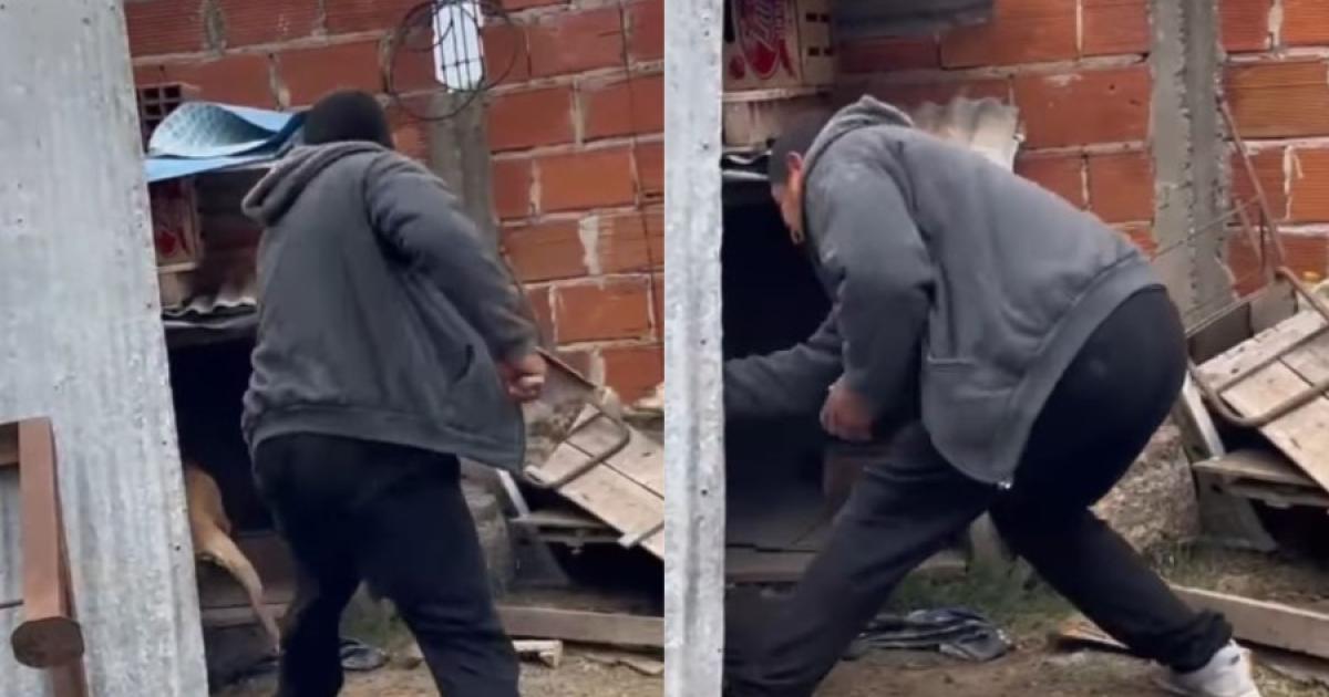 Tras varias denuncias detuvieron a un hombre por maltrato animal