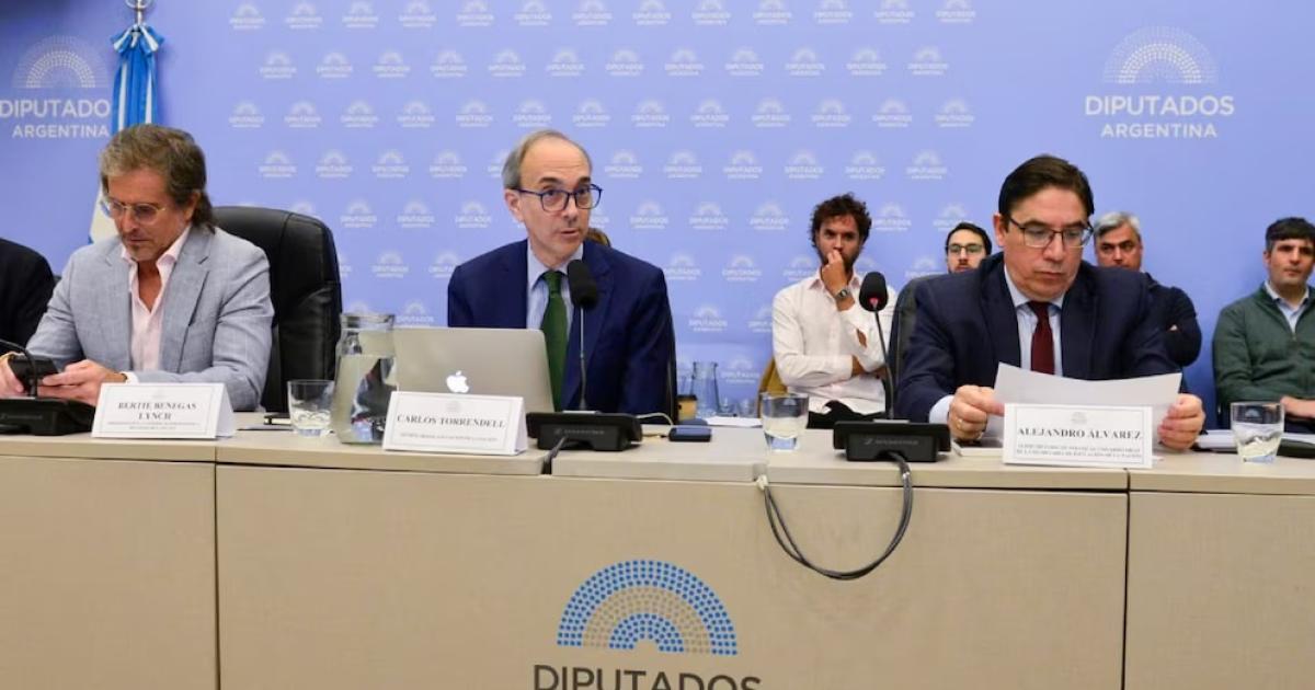 Carlos Torrendell y Alejandro Álvarez en la Comisión de Presupuesto (Foto-Infobae)