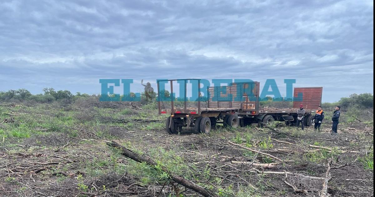 El acoplado del que cayó el joven de 24 años