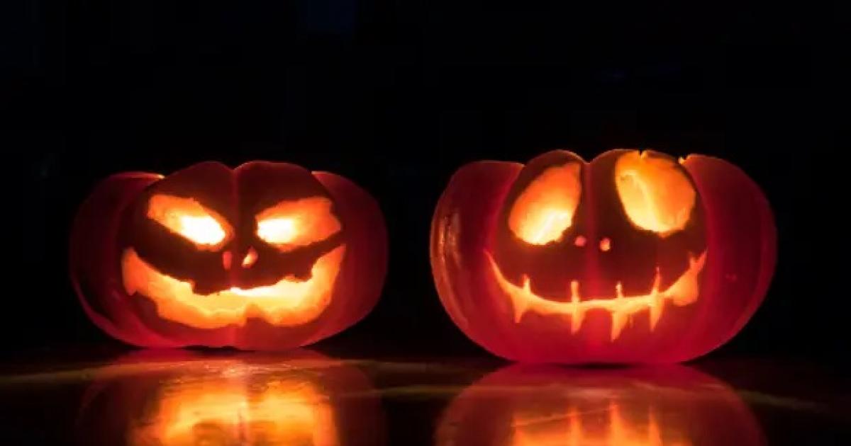 (Foto ilustrativa Google)