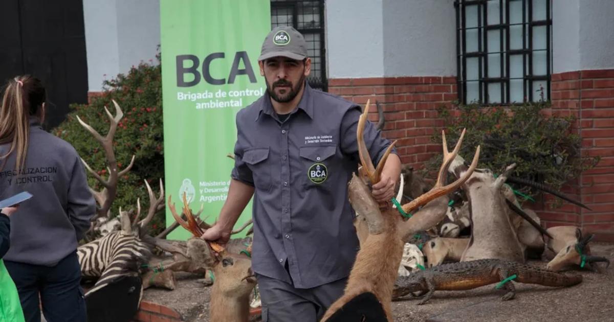 PROVINCIA Uno de los operativos se realizó en las Sierras de Guasay�n