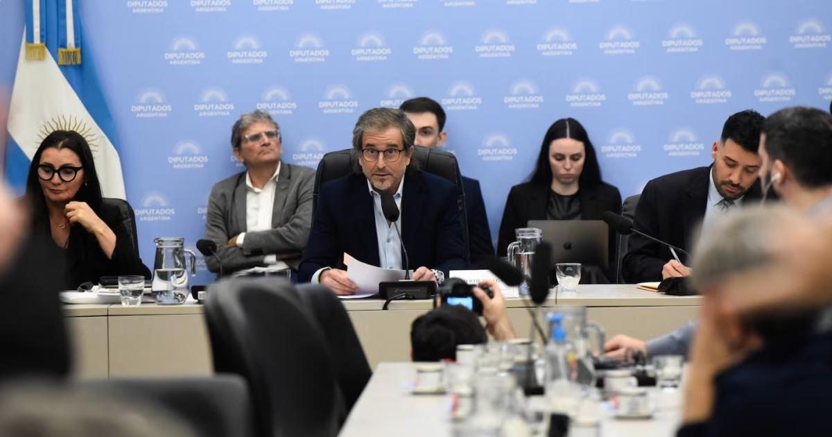 (Foto- Cmara de Diputados)