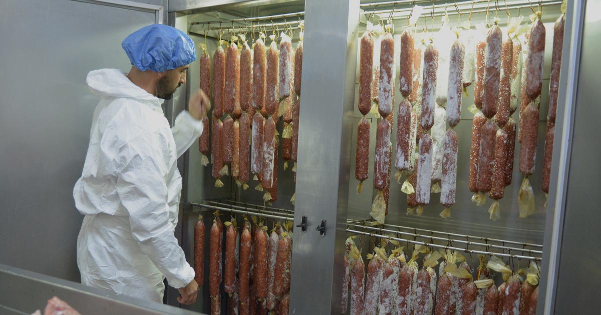 Colonia Jaime un espejo de coacutemo vivir en comunidad que atrae a personas del mundo