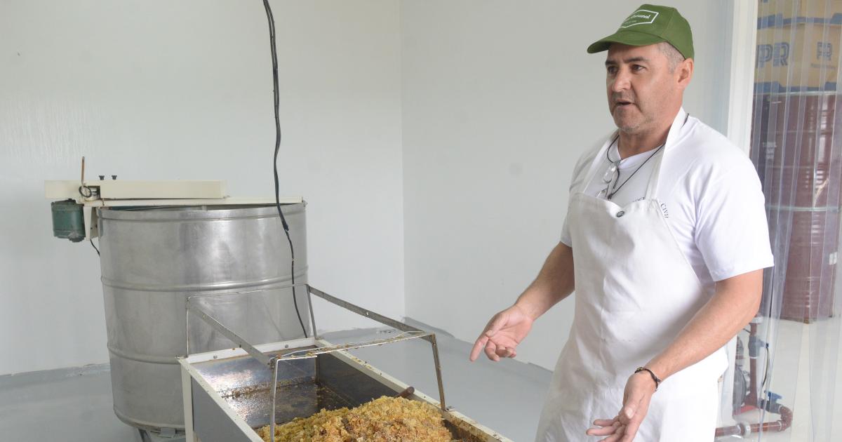 Colonia Jaime un espejo de coacutemo vivir en comunidad que atrae a personas del mundo