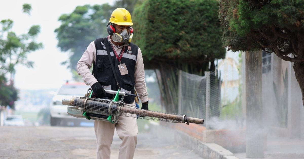 CRIADEROS Lo que tenemos sí es el Aedes aegypti que es con lo que nosotros continuamente estamos luchando O sea es tratar de eliminar criaderos