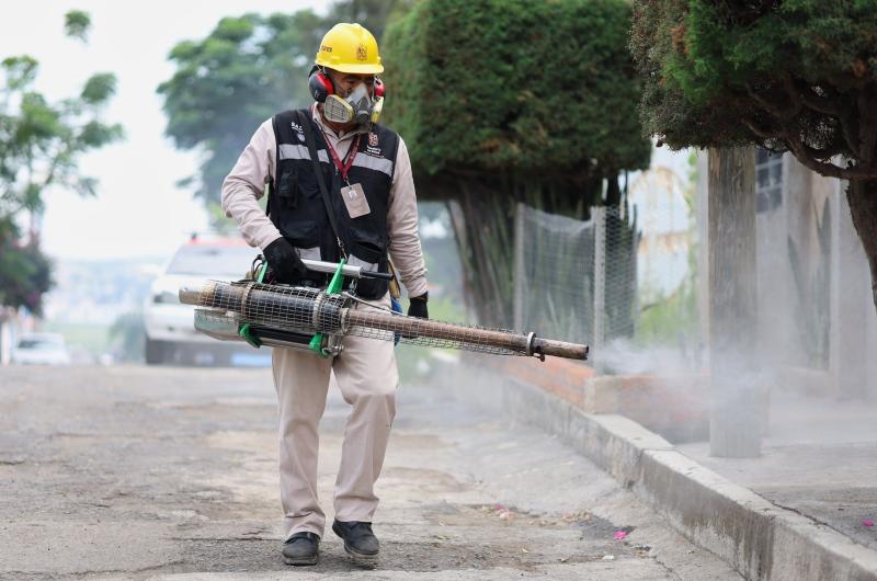 CRIADEROS Lo que tenemos sí es el Aedes aegypti que es con lo que nosotros continuamente estamos luchando O sea es tratar de eliminar criaderos
