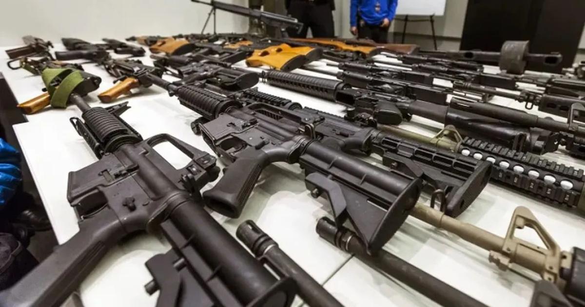 La advertencia de asociaciones y ONGs por la habilitacioacuten civil del uso de armas que impulsoacute el Gobierno