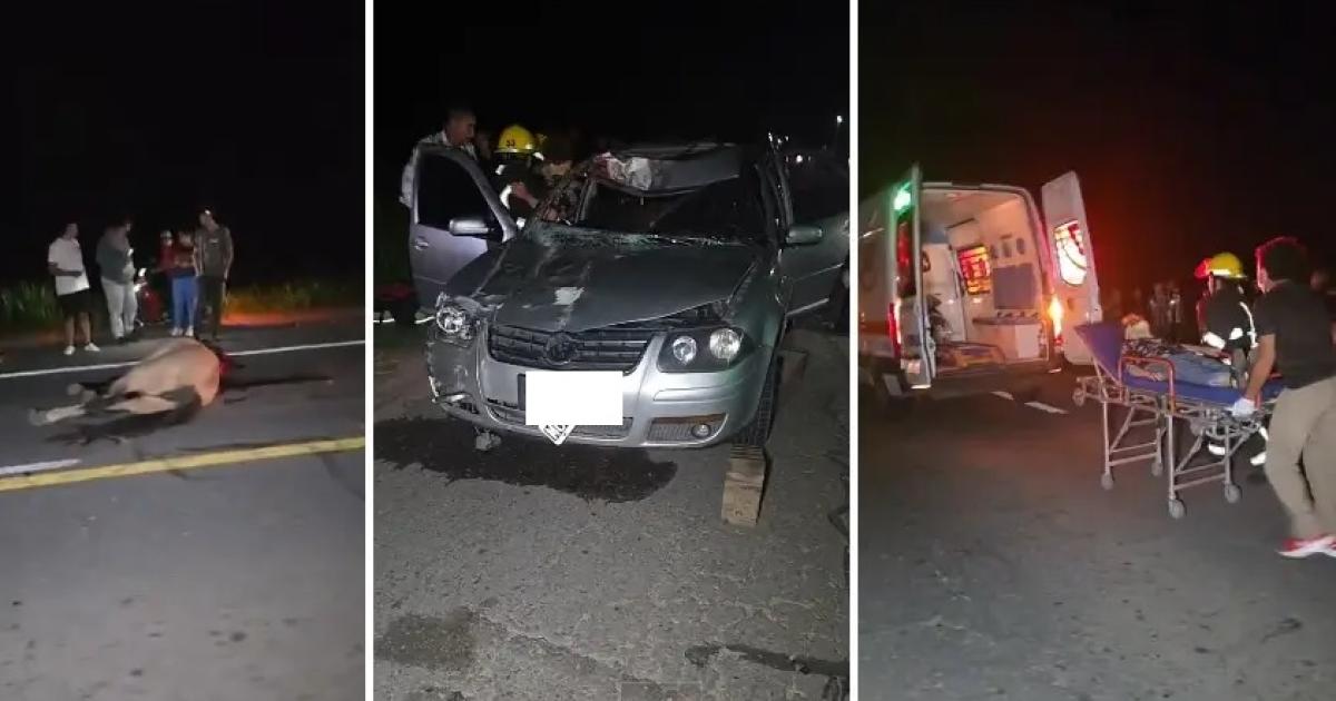 Ruta 38- Una mujer resultó herida tras chocar contra un caballo - Foto- Contexto Tucum�n