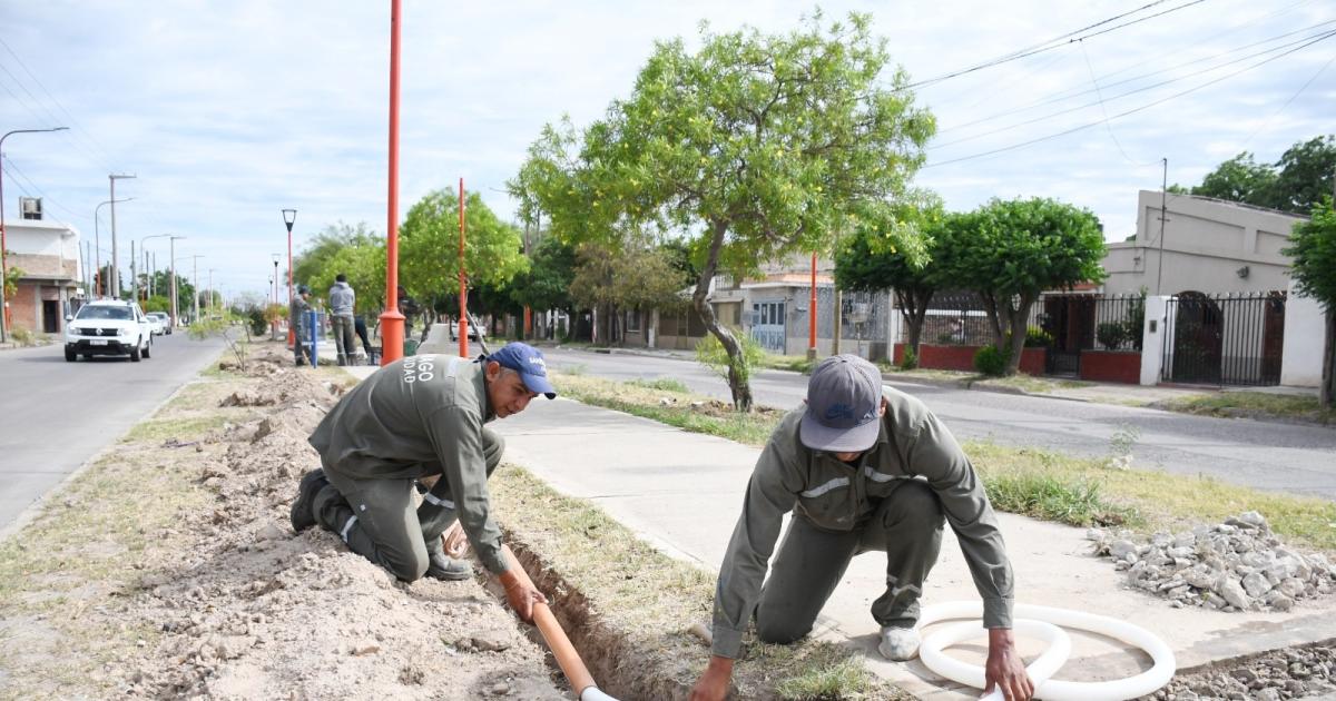 La Municipalidad renueva las luminarias del sector sur de la avenida Coloacuten