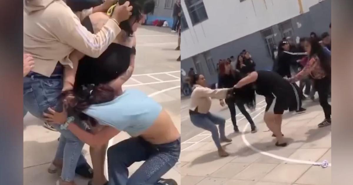 VIDEO- Madres se enfrentaron a golpes en el patio de una escuela