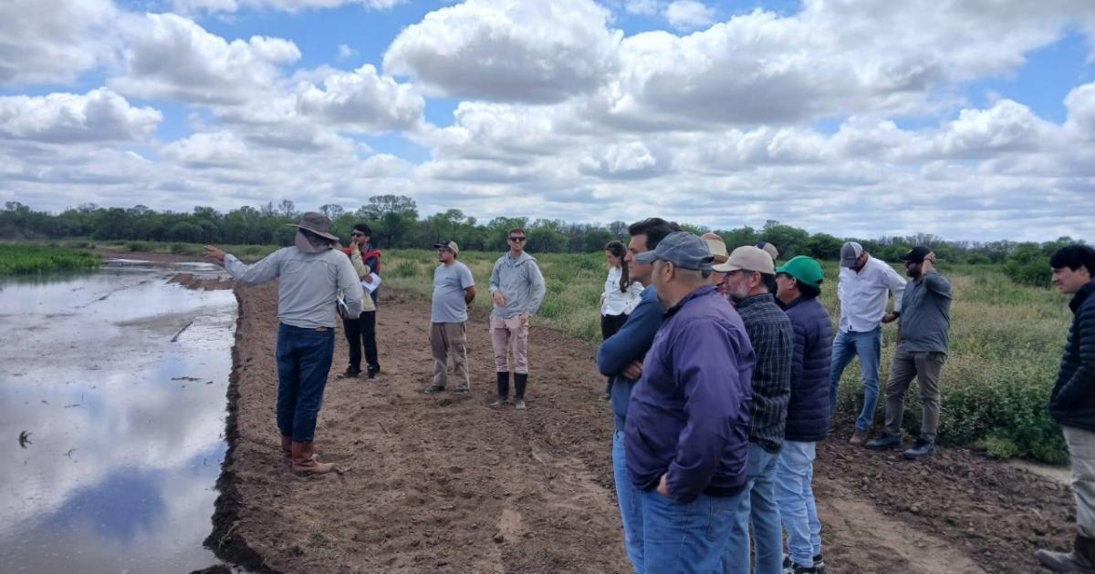 La Regioacuten Albigasta tiene como eje los bosques cultivos y la ganaderiacutea