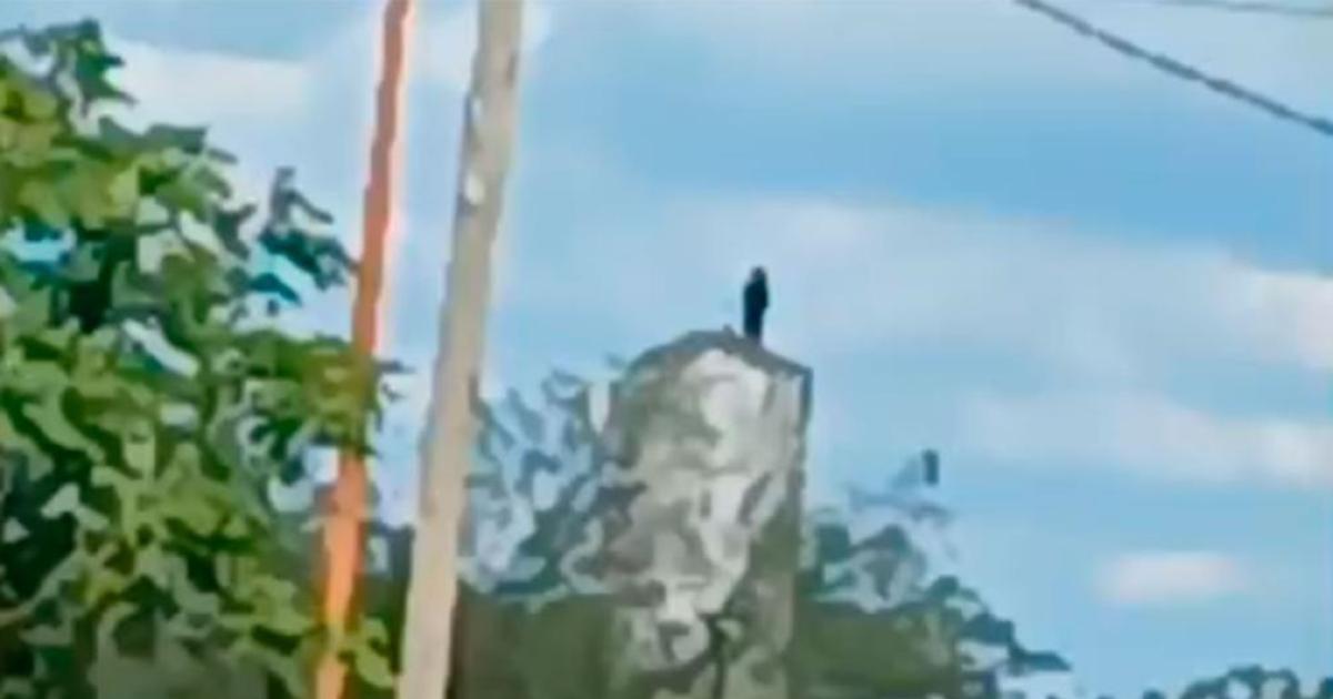 Conmocioacuten y alarma- una joven sufrioacute graves heridas al arrojarse desde un tanque quedoacute internada