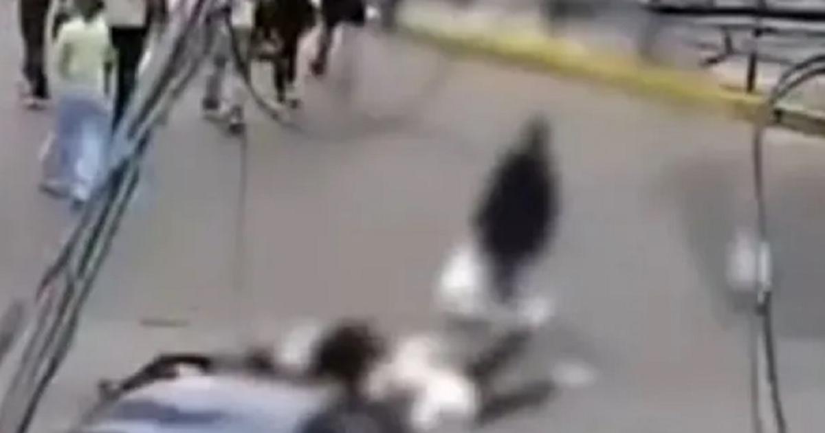 El hijo de una jubilada atropellada en Lanuacutes aportoacute un dato clave- Mi madre cruzoacute mal