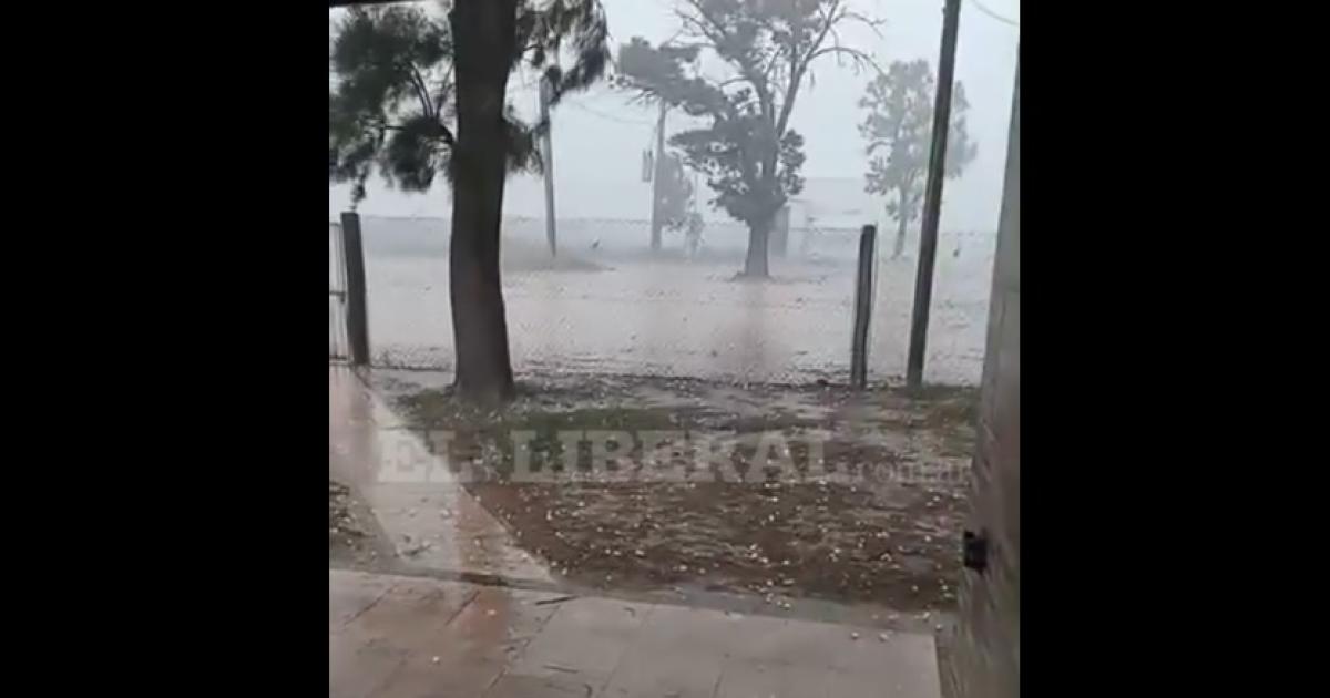 VIDEO Desesperacioacuten- el granizo afectoacute sembrados en zona rural del interior santiaguentildeo
