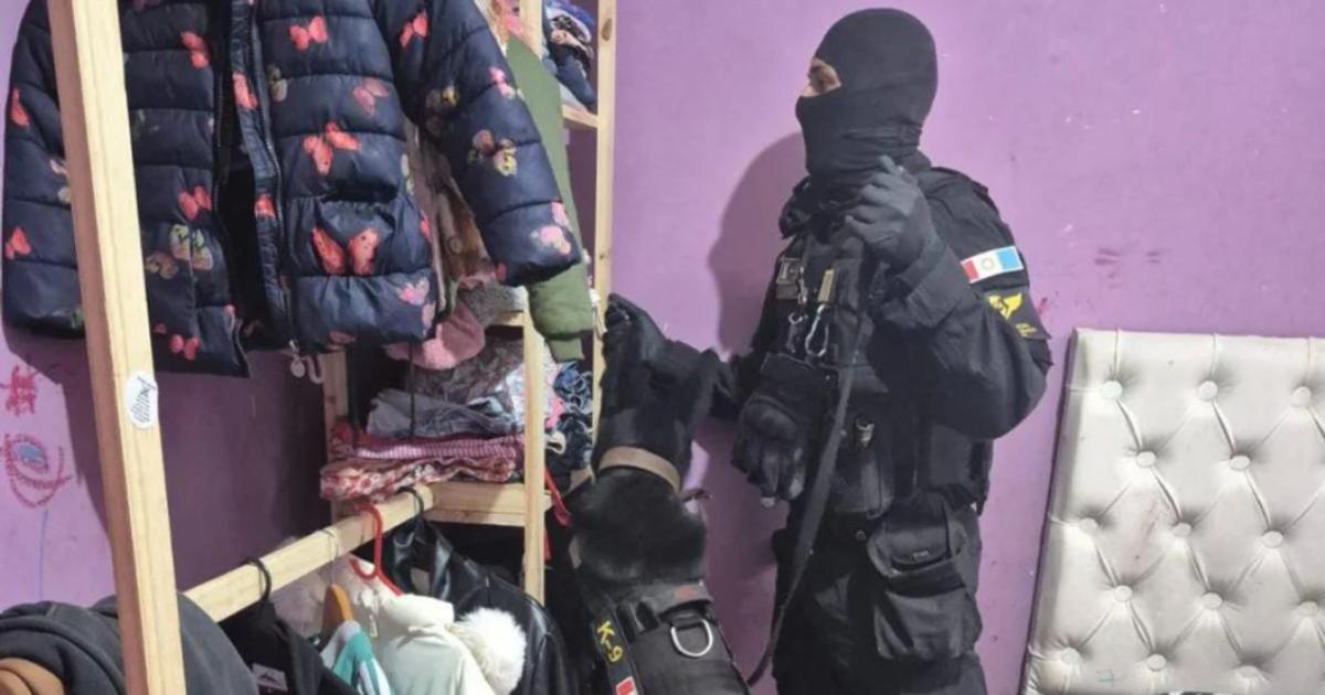 Tres mujeres y un menor que intentoacute tirar algunas dosis al inodoro detenidos por narcotraacutefico